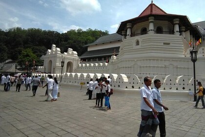 Private Day trip Kandy & pinnawala with your selected attractions