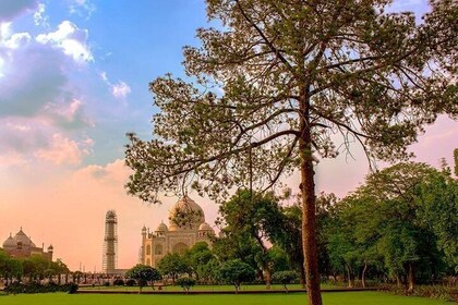 Private Taj Mahal Sunrise Day Tour From Delhi by Ac Car - All-inclusive