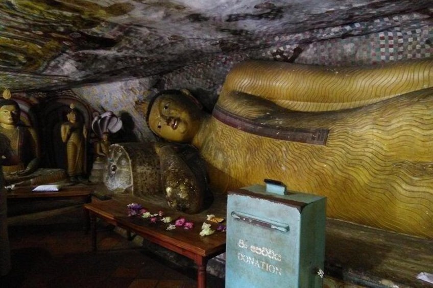 Private day trip Sigiriya, Dambulla with Kaudulla national park safari