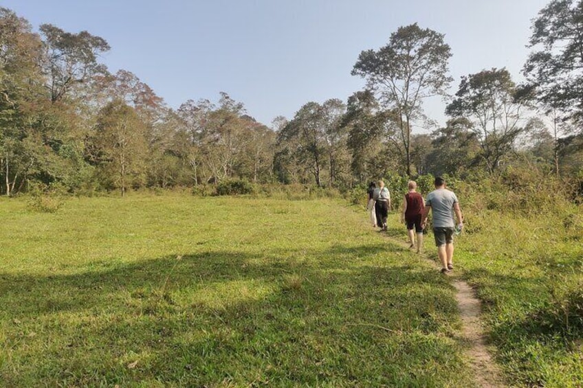 5 Nights 6 Days in Kerala Hills and Backwaters