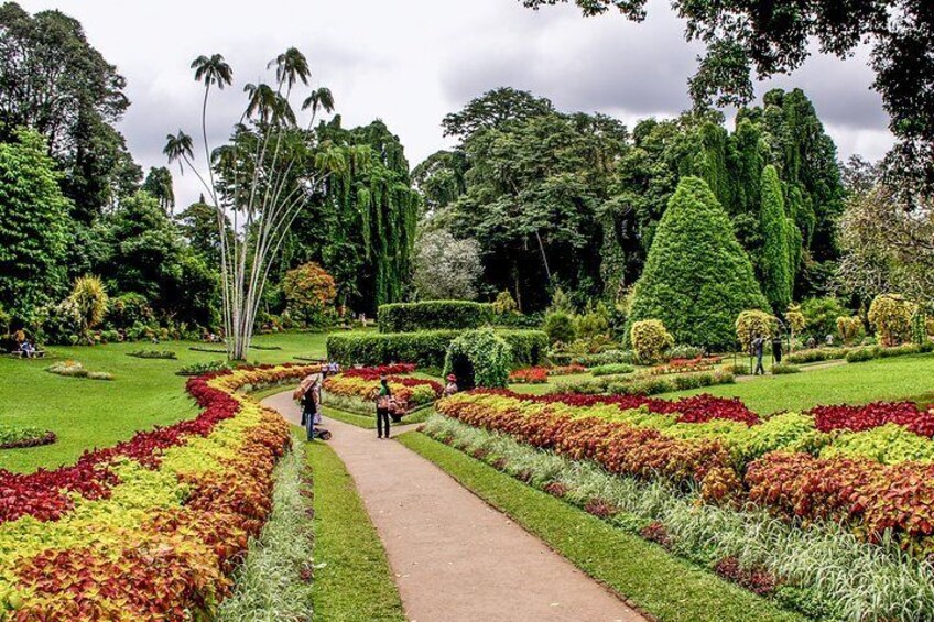 Kandy City Tour from Colombo Port