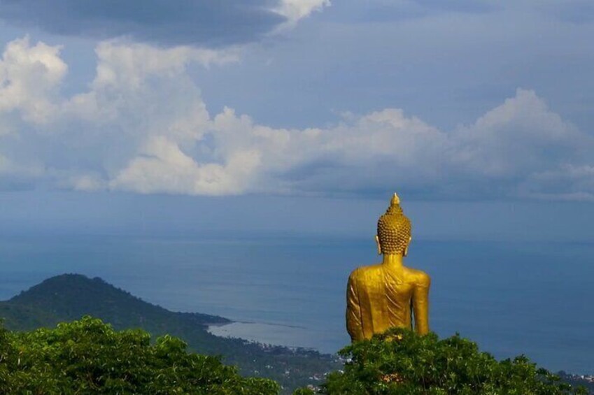 Buddha view
