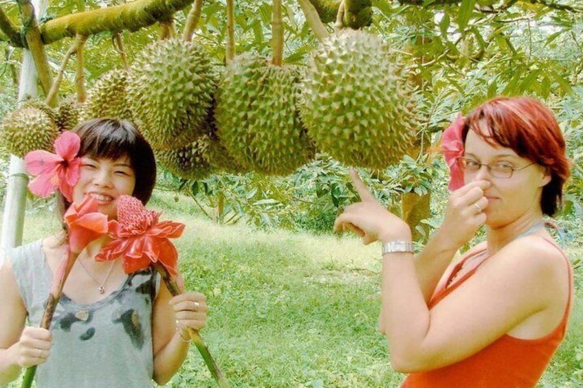 Durian (The Smelliest Fruit In The World).