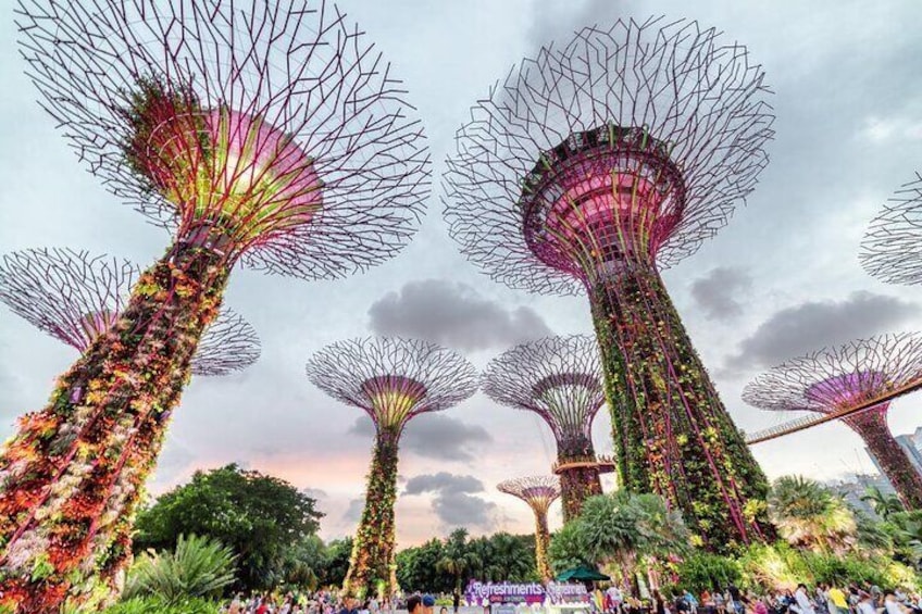 Private Full Day Singapore Highlights Tour with Private Vehicle,Lunch and Dinner