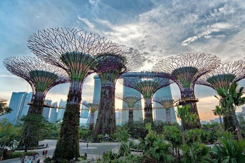 Private Full Day Singapore Highlights Tour with Private Vehicle,Lunch and Dinner