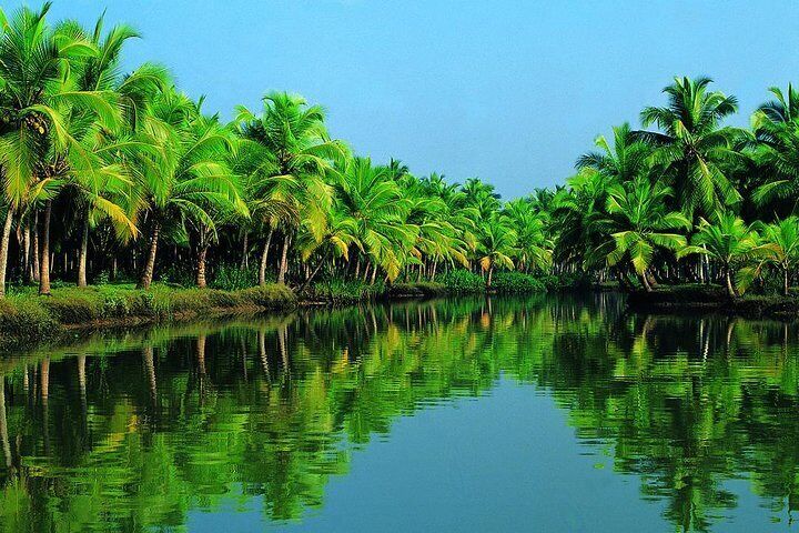 Aleppey /Alapuuzha Backwaters