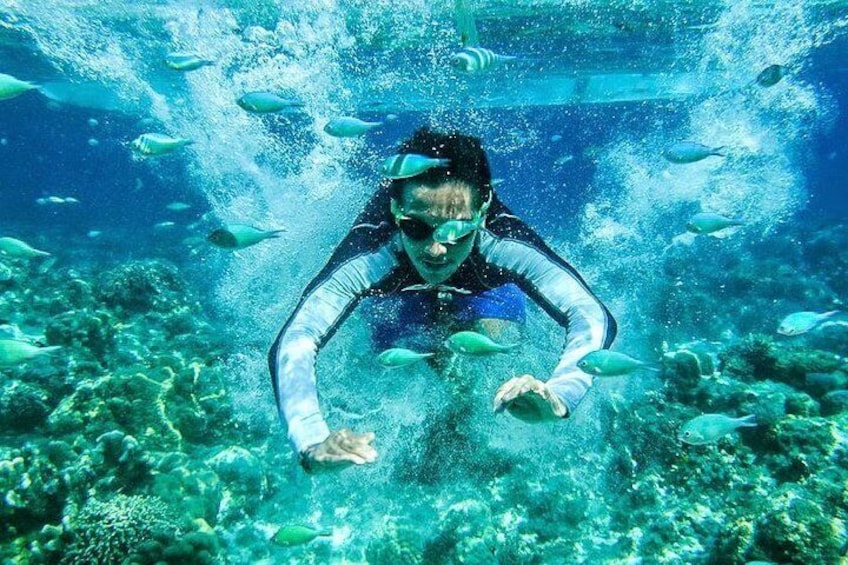 8-Days in Philippines: Cebu-Bohol-Camiguin