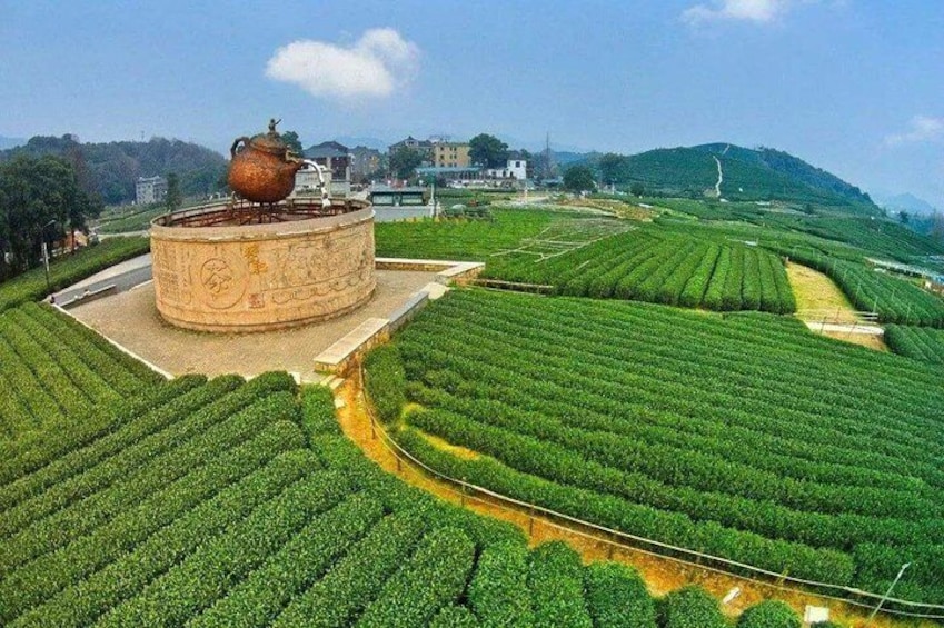 Hangzhou Tea Palantation