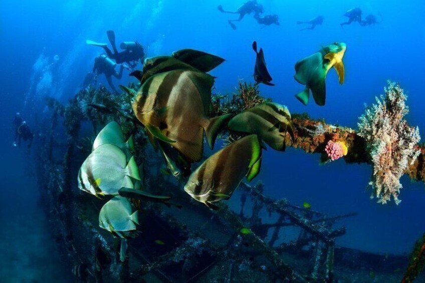 A place with the fish