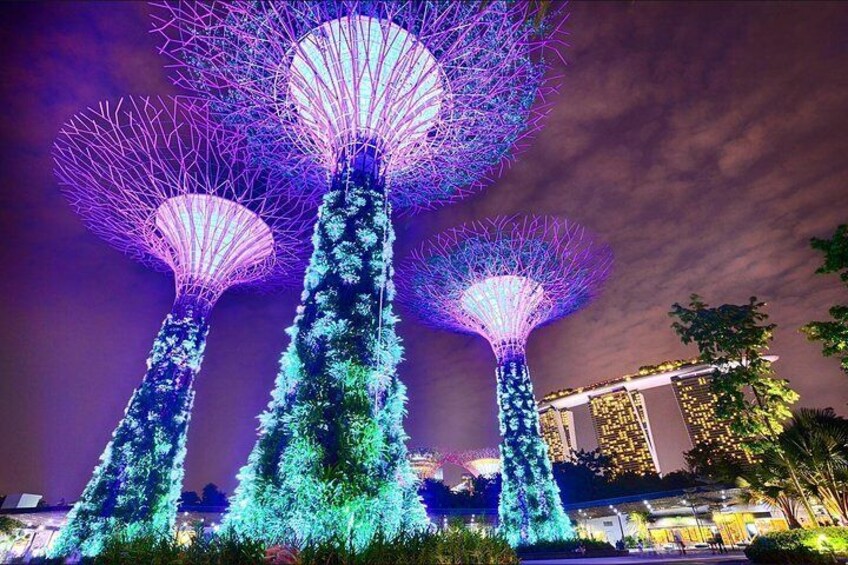 Super Trees at Gardens By the Bay 