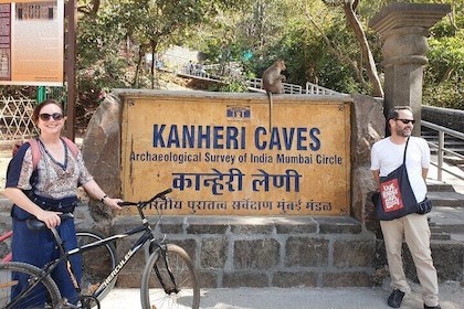 Sanjay Gandhi National Park(SGNP) + Kenheri Caves + Lion Safari + Jain Temp...