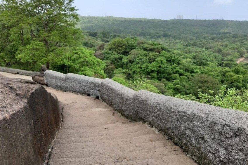 Sanjay Gandhi National Park(SGNP) + Kenheri Caves + Lion Safari + Jain Temple