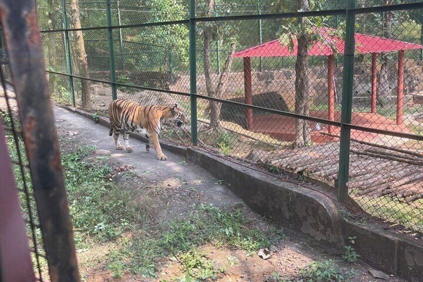 Sanjay Gandhi National Park 