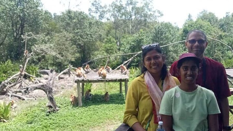 Full-Day Sepilok Orangutan and Proboscis Monkey from Sandakan or Kota Kinabalu