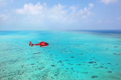 Port Douglas - Full day reef experience with Scenic Flight