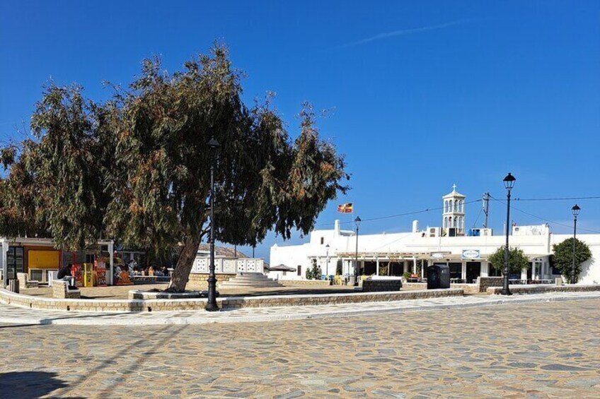 All inclusive Vegan cooking class and private Mykonos island tour