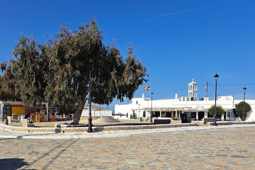 All inclusive Vegan cooking class and private Mykonos island tour