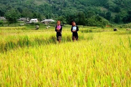 Best Of The North Vienam (Deluxe 4 Star Package 6 Day Group Tour)