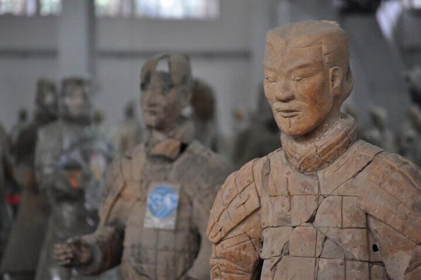 One Day Terracotta Warriors and Mountain Huashan Tour (None Shopping)