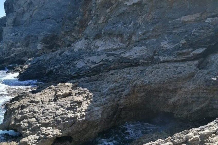 Wild nature