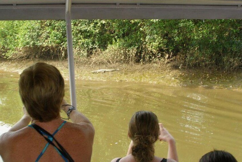 Crocodile spotting with walking tour of local plantation in Goa