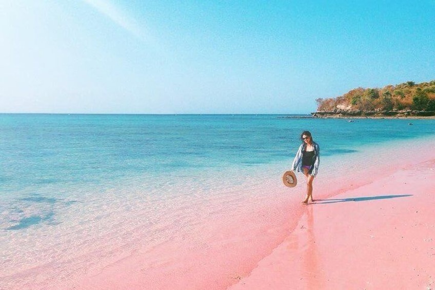 Lombok Pink Tangsi Beach
