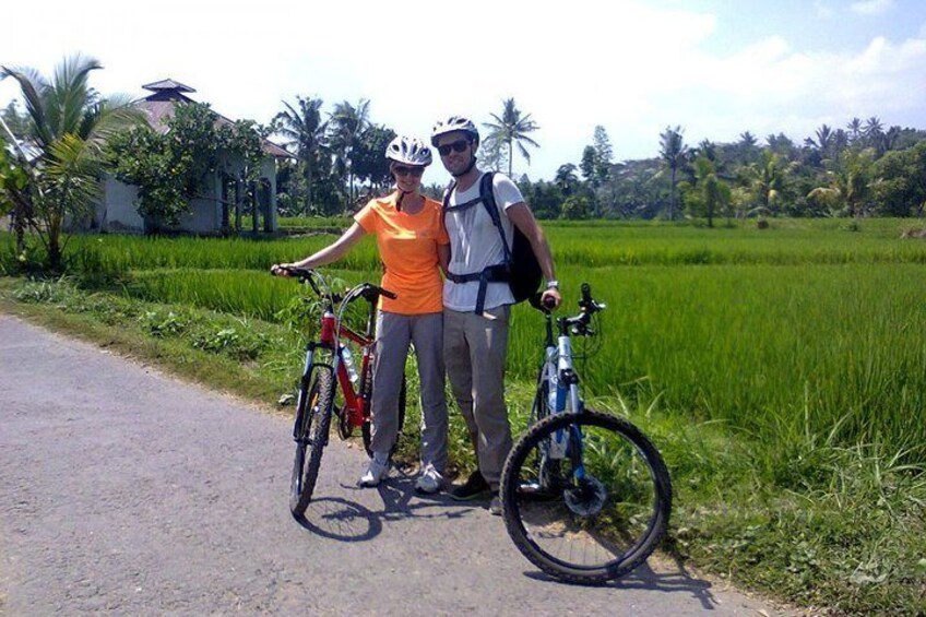 Cycling with Rice Padddy view
