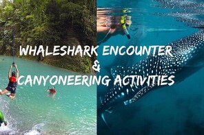 Oslob Whale shark swimming & Canyoneering Adventure, Kawasan Falls Day Tour