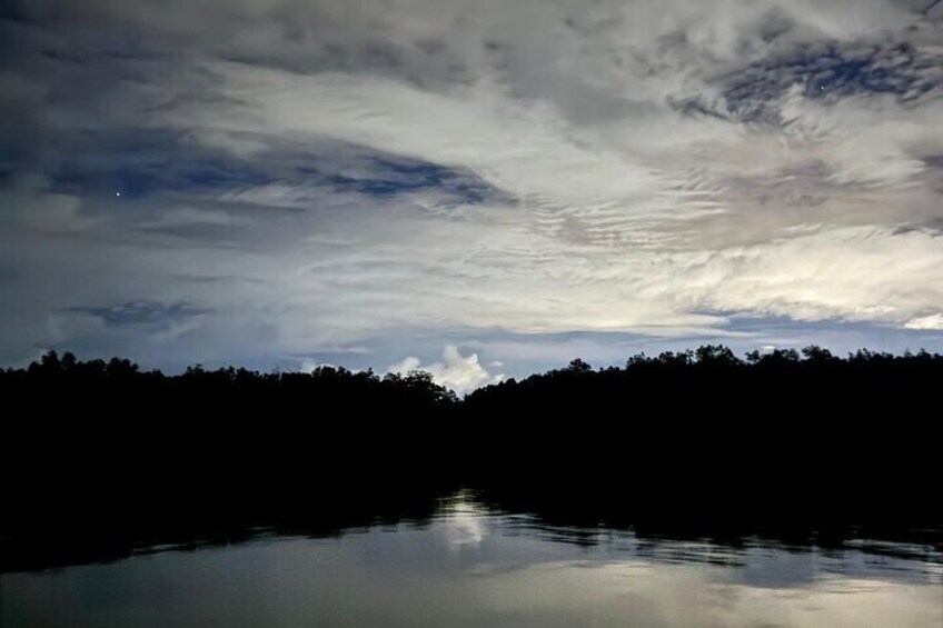 Bako National Park by Night from Kuching 