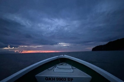 Bako National Park by Night from Kuching