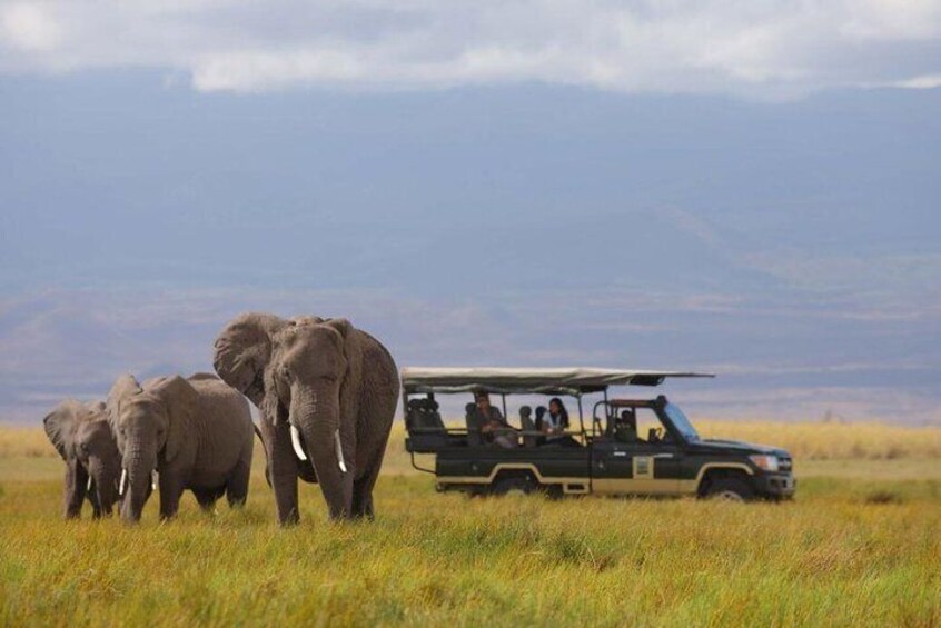 Game drives at Amboseli