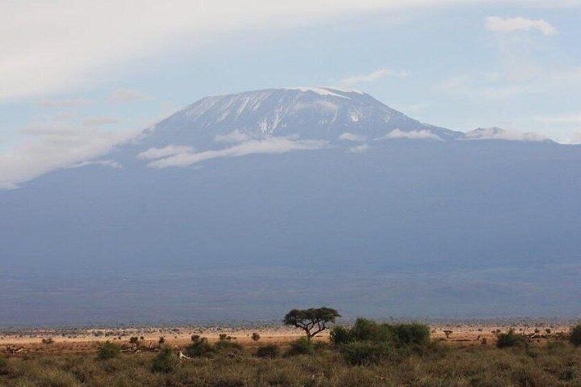 Views of Kilimanjaro