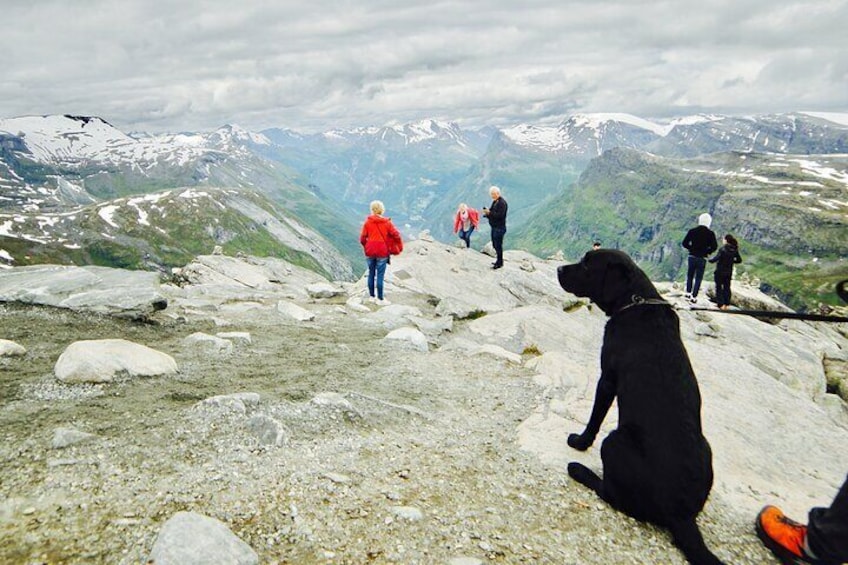 Private tour Geiranger and Glaciers