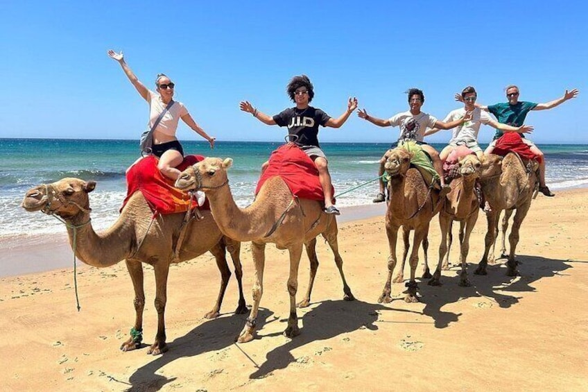 camel ride in Tangier