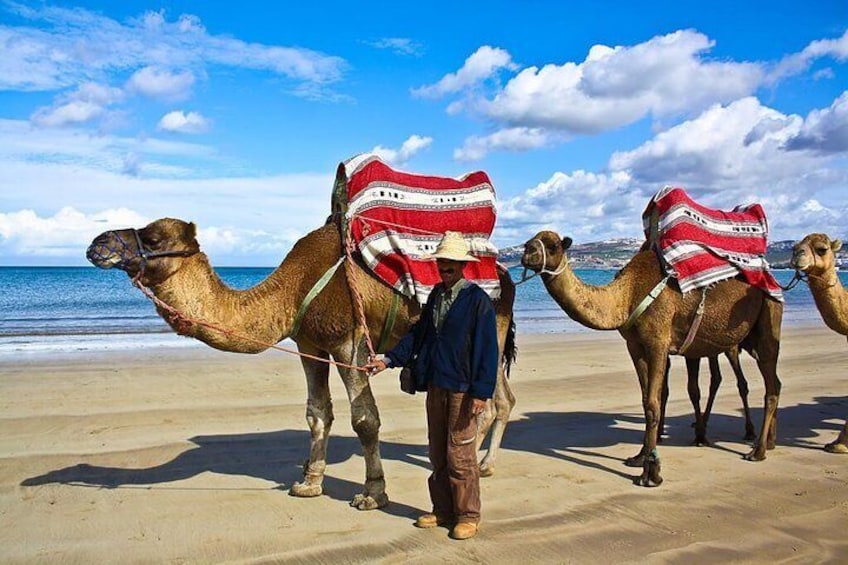Camel ride in Tangier beach