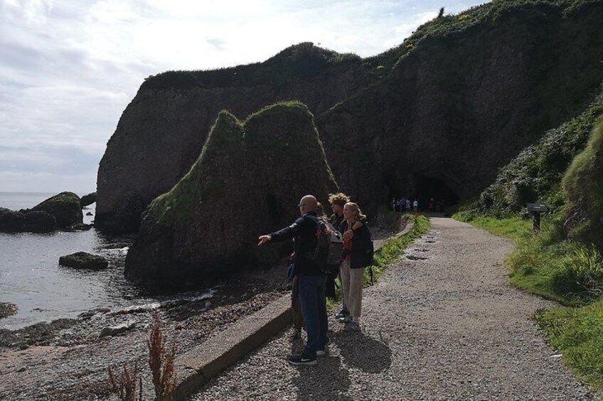 Private Guided Tour Giant's Causeway Game of Thrones Rope Bridge From Belfast