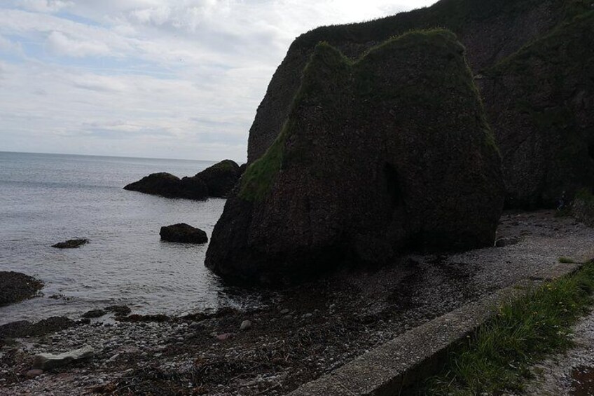 Private Guided Tour Giant's Causeway Game of Thrones Rope Bridge From Belfast