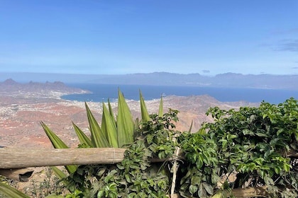 Vandretur Monte Verde, naturpark, São Vicente, 3 timer +/- (tur-retur)