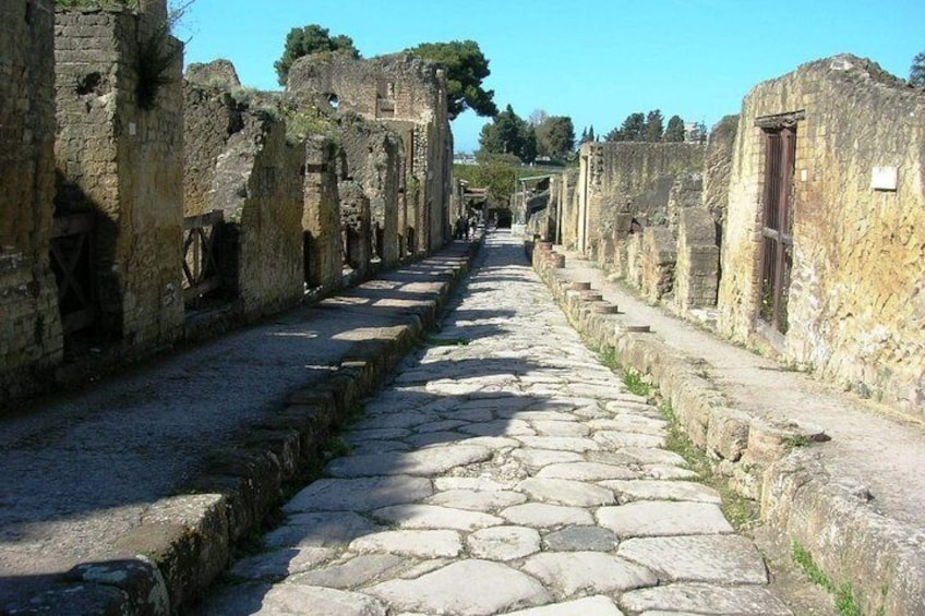 Herculaneum city ruins and Mt Vesuvio visit winery field