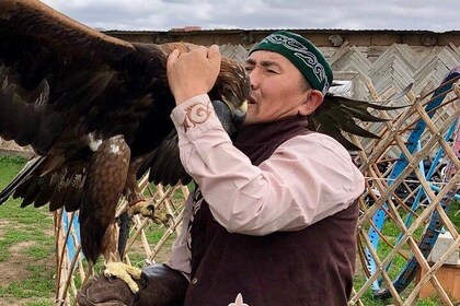 Trip to Kazakh family of Eagle hunters in Astana (6 hours)