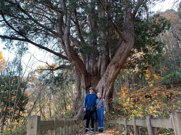 Show item 4 of 7. Shirakawago(UNESCO world heritage)/ Onsen / Hiking (1Day)