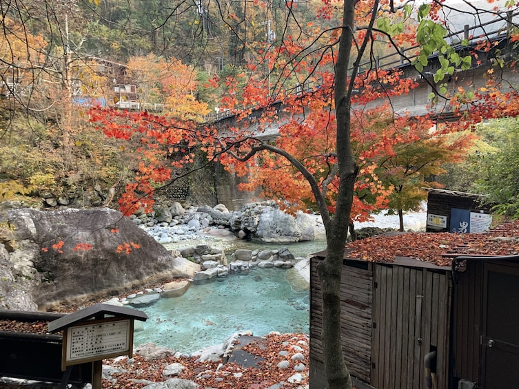 Show item 3 of 7. Shirakawago(UNESCO world heritage)/ Onsen / Hiking (1Day)