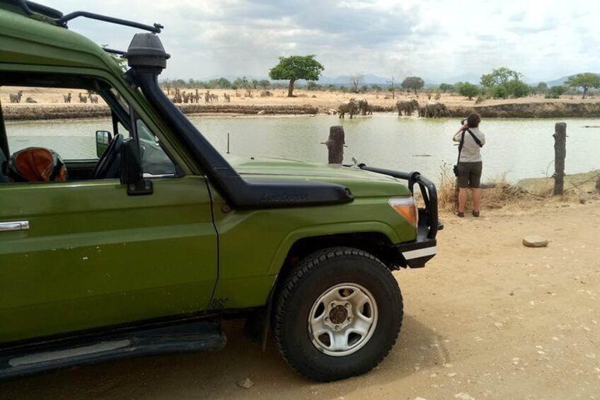 Nice view at hippo pool - Mikumi NP