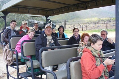 Private Wildlife and Wine Tour