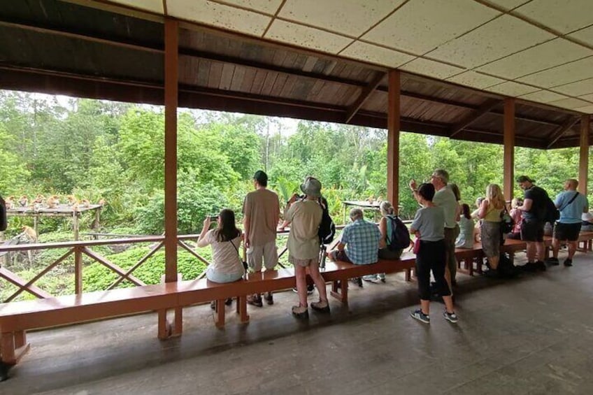 Full-Day Sepilok Orangutan,Sun Bear & Sandakan City Trail from Kota Kinabalu