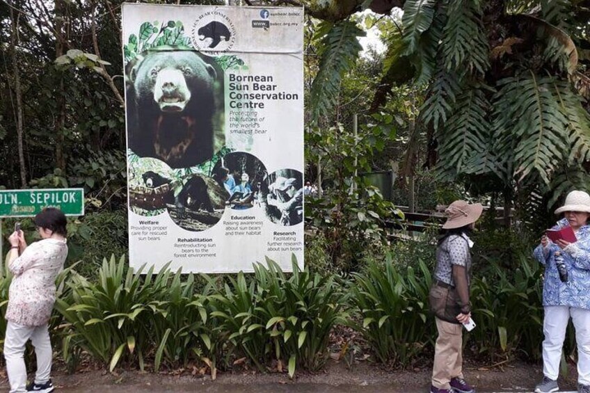 Full-Day Sepilok Orangutan,Sun Bear & Sandakan City Trail from Kota Kinabalu