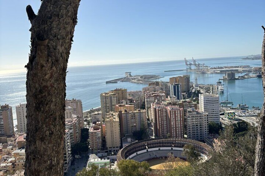  Malaga Highlights by Electric Car with Port Pick up