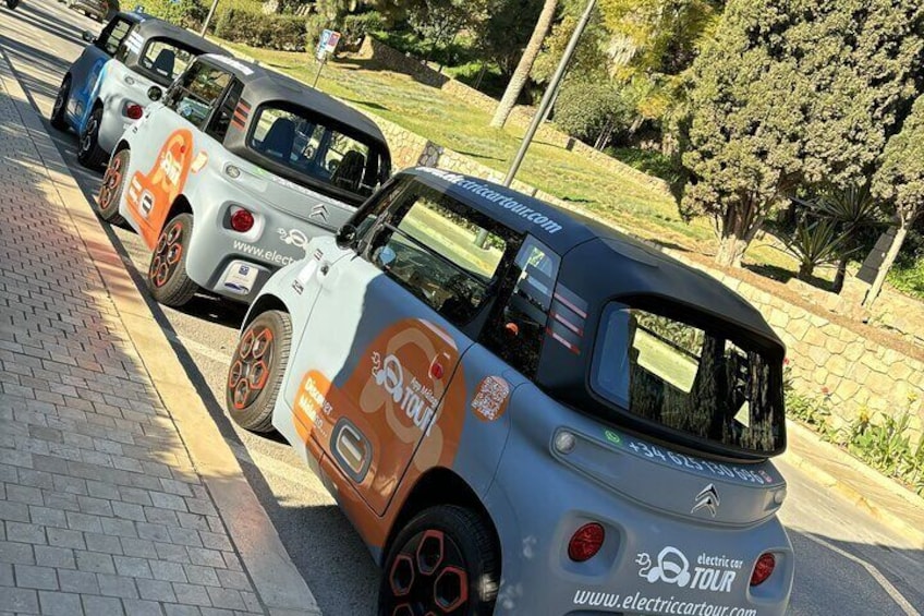 Malaga Highlights by Electric Car with Port Pick up