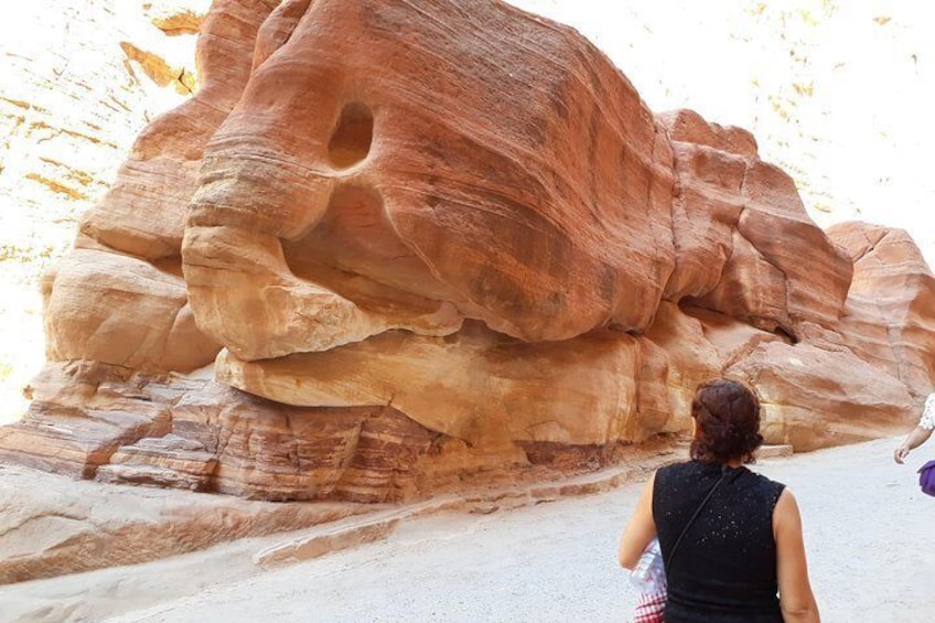 7 days sightseeing tour around Jordan