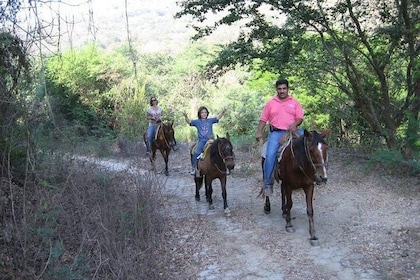 Horse Back Riding With Danitours Montain Rural Areas And Sand Beach